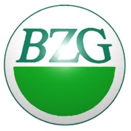 Logo BZG Ostharz gGmbH